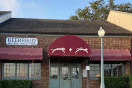 Deerfield Animal Hospital