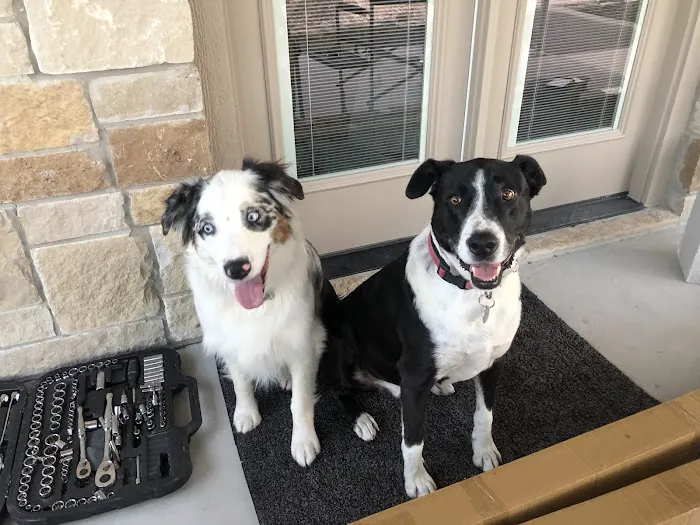 Deerfield Animal Hospital 12