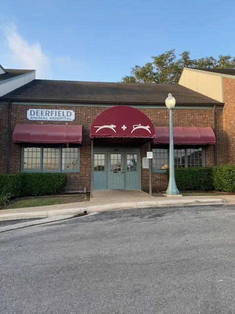Deerfield Animal Hospital 12