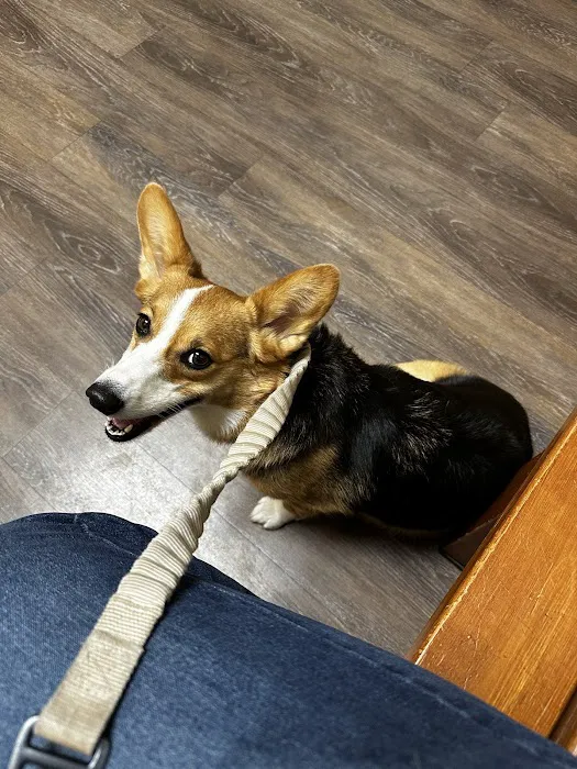 Deerfield Animal Hospital 12