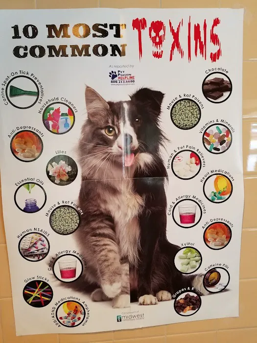 Pet Medical Center of San Antonio 9