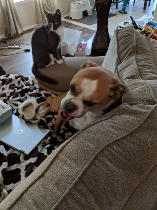 Pet Medical Center of San Antonio 10