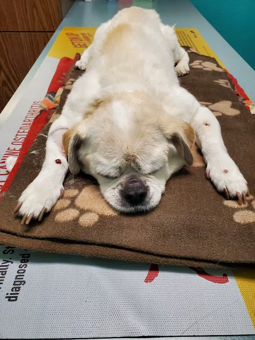 Babcock North Veterinary Hospital 12