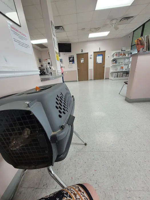 Angel Of Mercy Animal Critical Care, Inc. 12