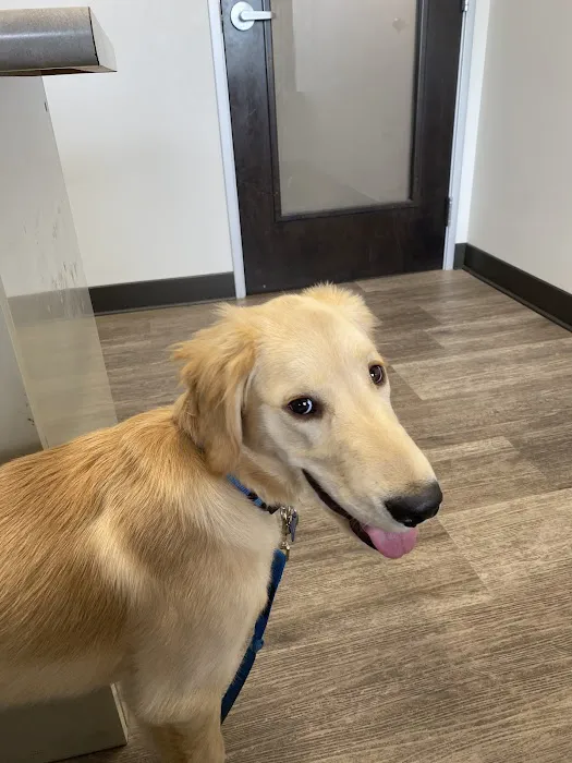 Great Northwest Animal Hospital 12