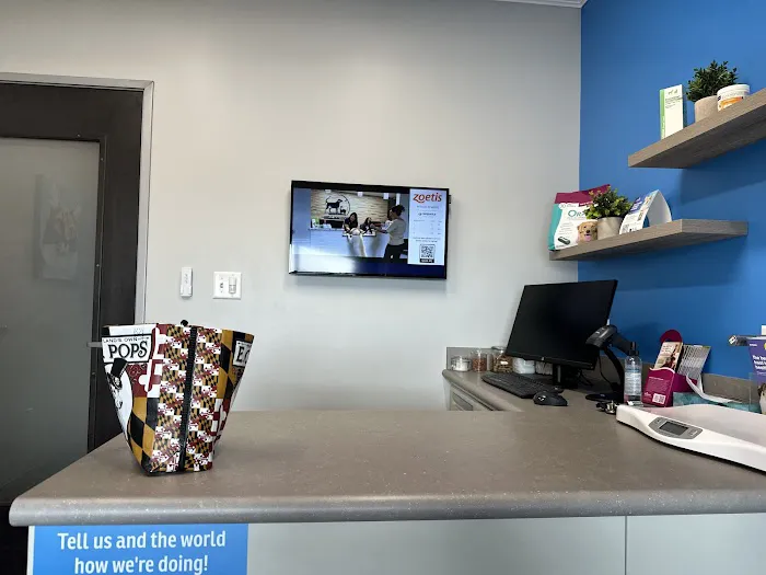 Great Northwest Animal Hospital 12