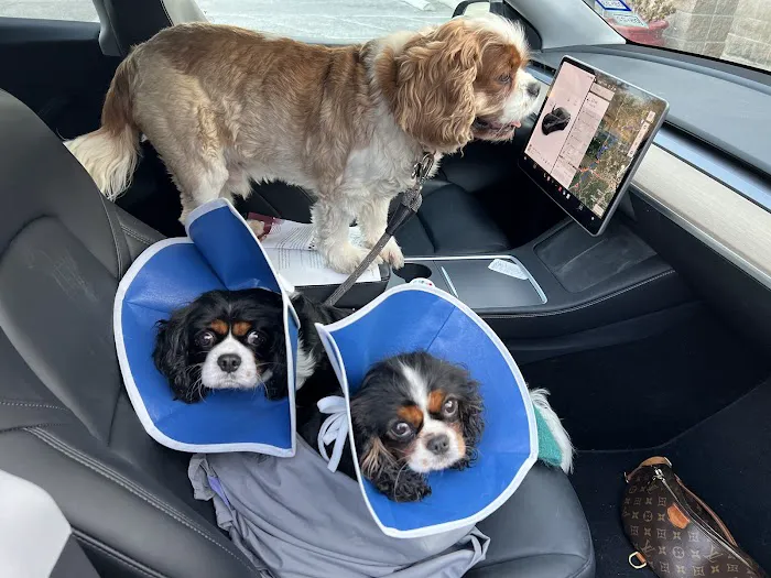 S&S Family Pet Hospital 12