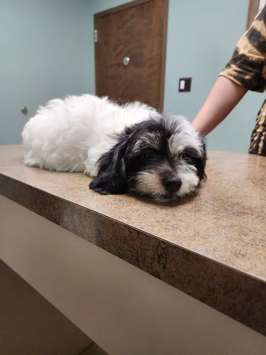 S&S Family Pet Hospital 12