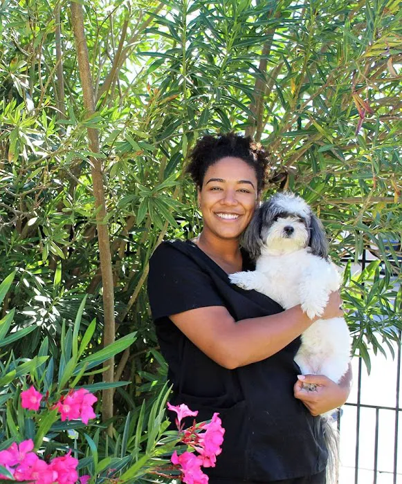S&S Family Pet Hospital 12