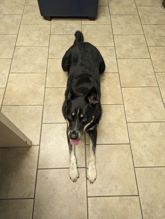 S&S Family Pet Hospital 12