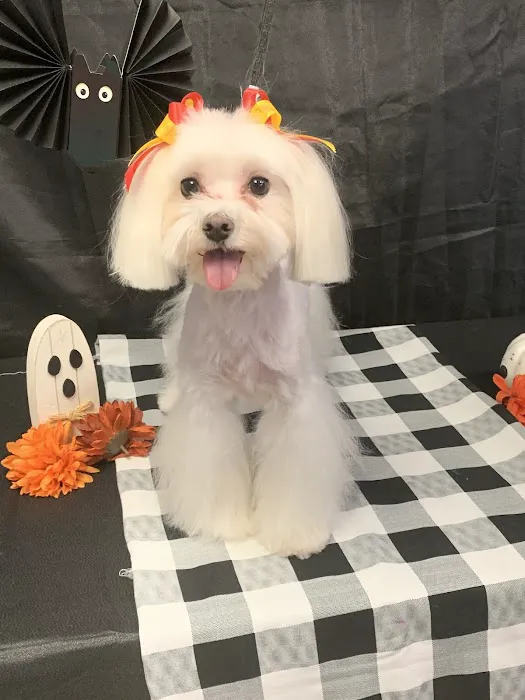 S&S Family Pet Hospital 12