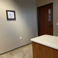 DeZavala-Shavano Veterinary Clinic ico