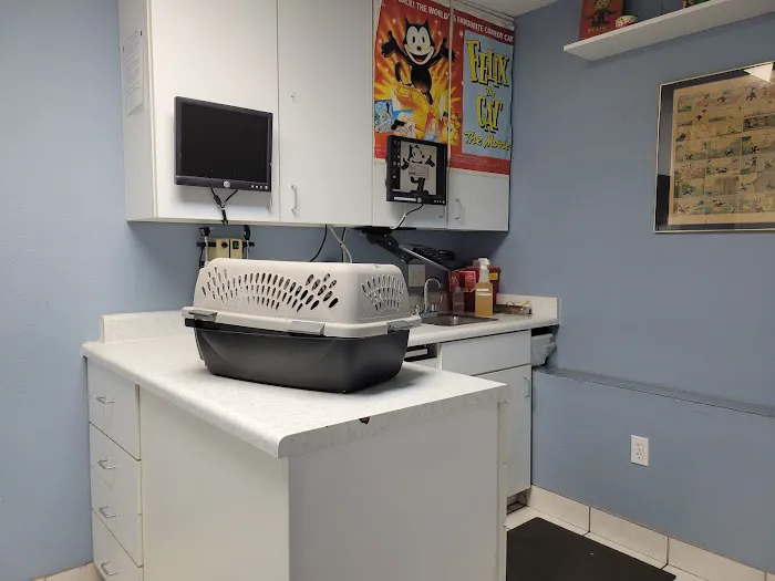 Alamo Feline Health Center 12