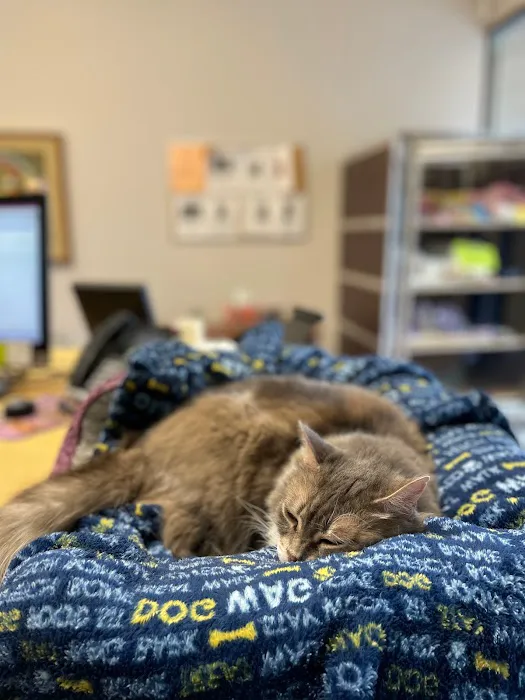 Traveling Tails Veterinary Clinic | Thousand Oaks 12