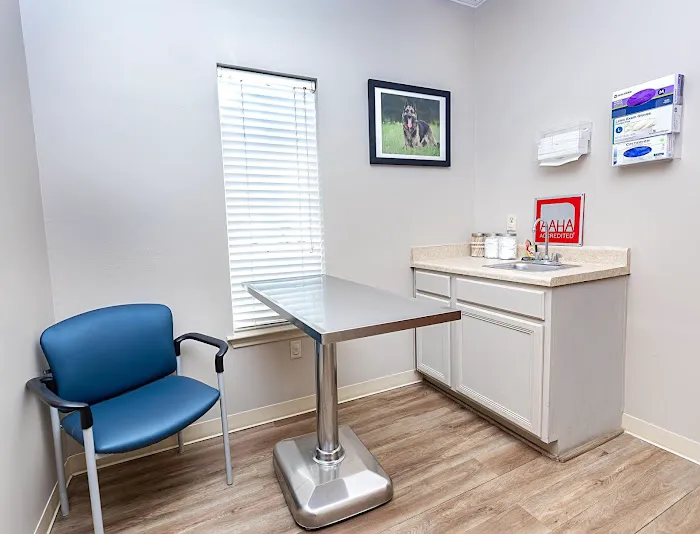 VCA Henderson Pass Animal Hospital 12