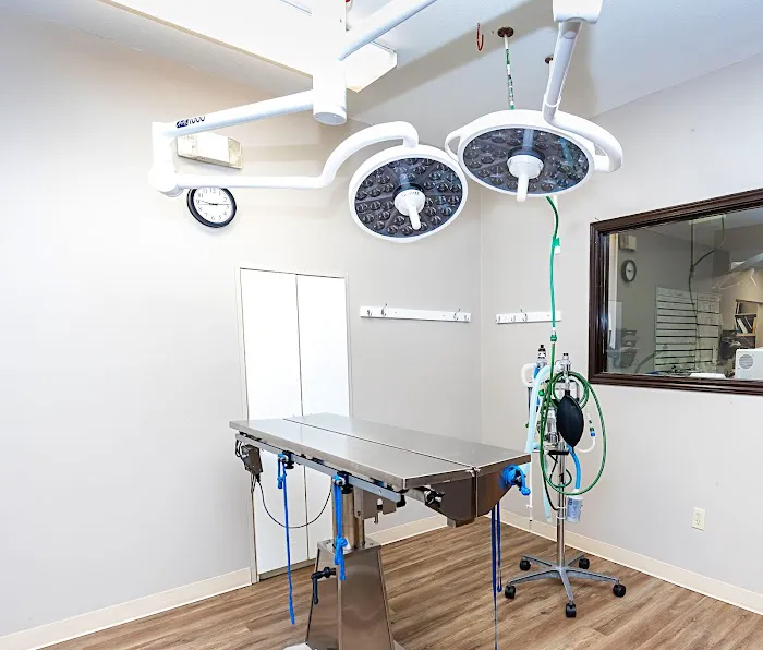 VCA Henderson Pass Animal Hospital 12