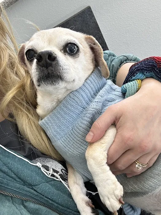 Penny Paws Animal Clinic San Antonio 12