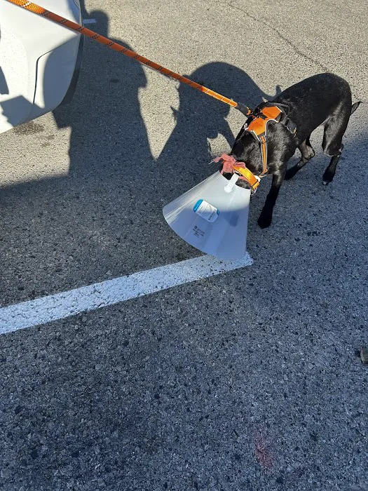 Penny Paws Animal Hospital - San Antonio 5