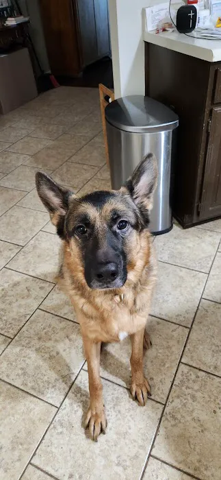Penny Paws Animal Hospital - San Antonio 3