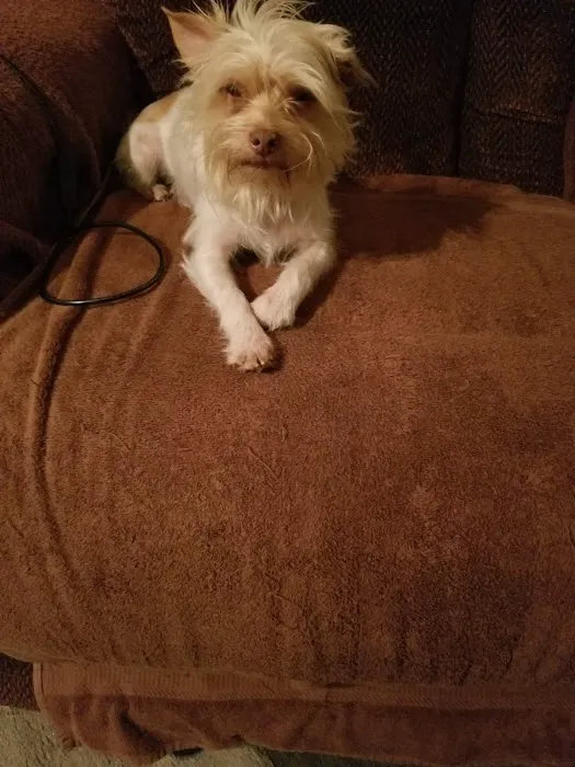 Penny Paws Animal Hospital - San Antonio 9