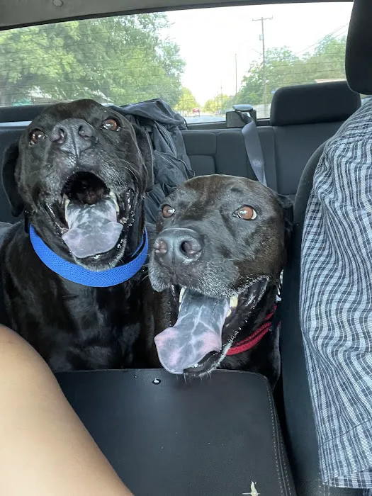 Penny Paws Animal Hospital - San Antonio 7