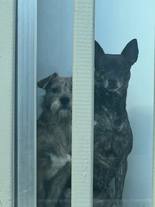 Penny Paws Animal Hospital - San Antonio 6