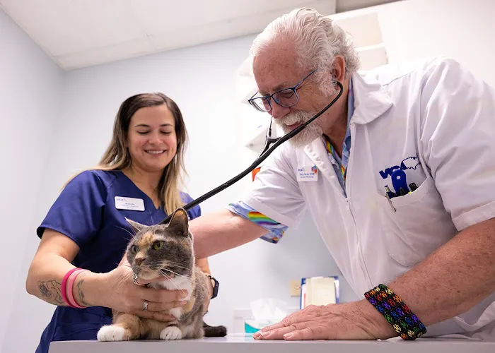 VCA Health Associates Animal Hospital 12