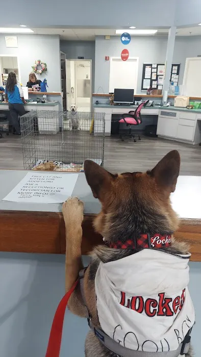 VCA Health Associates Animal Hospital 12