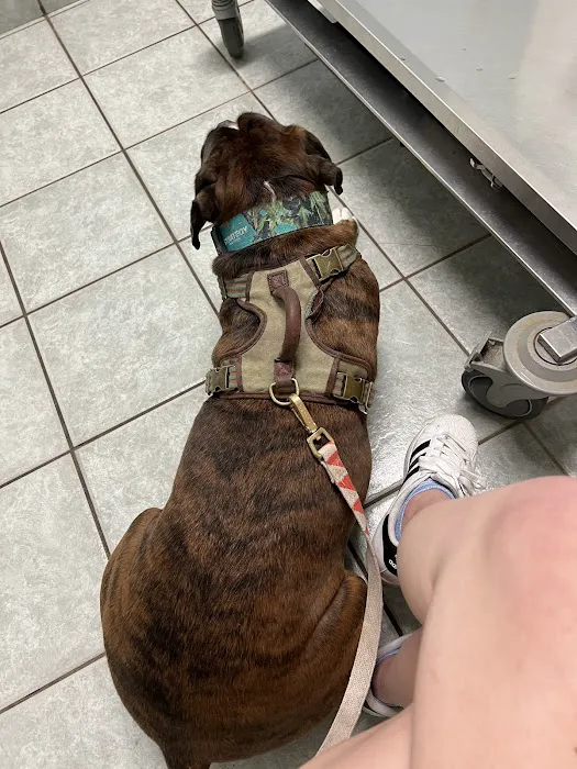 VCA Health Associates Animal Hospital 12
