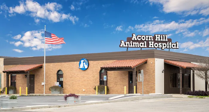 Acorn Hill Animal Hospital 12