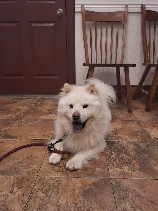 Acorn Hill Animal Hospital 12