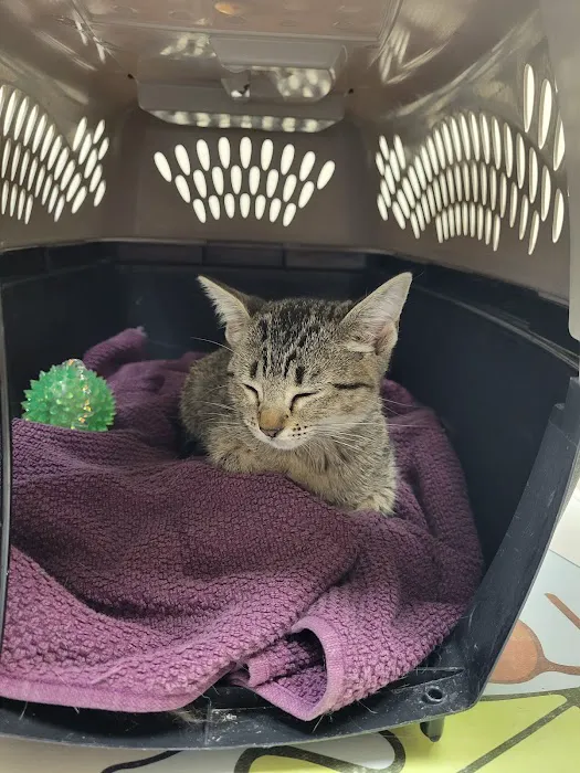 Acorn Hill Animal Hospital 12