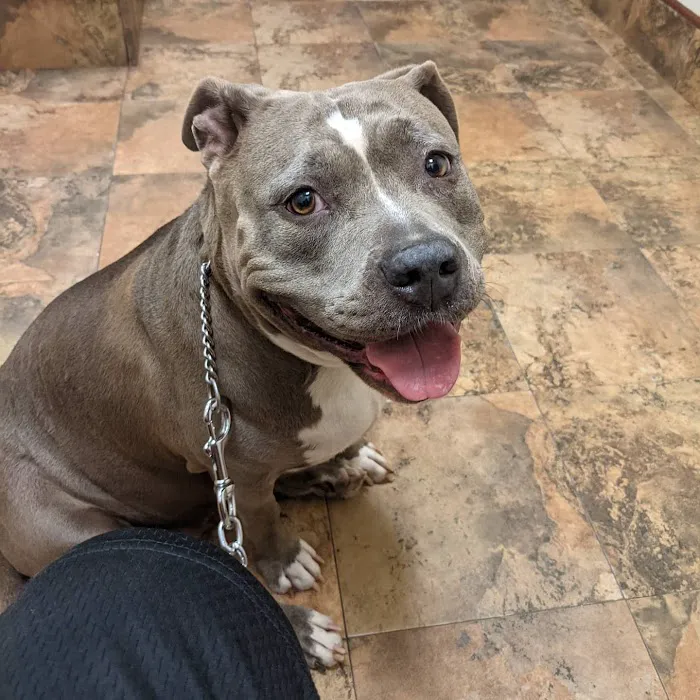 Acorn Hill Animal Hospital 12