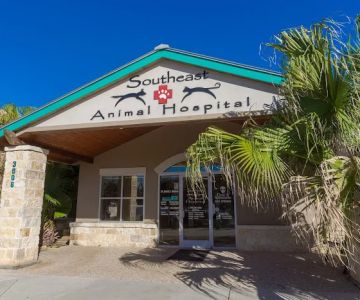 Southeast Animal Hospital