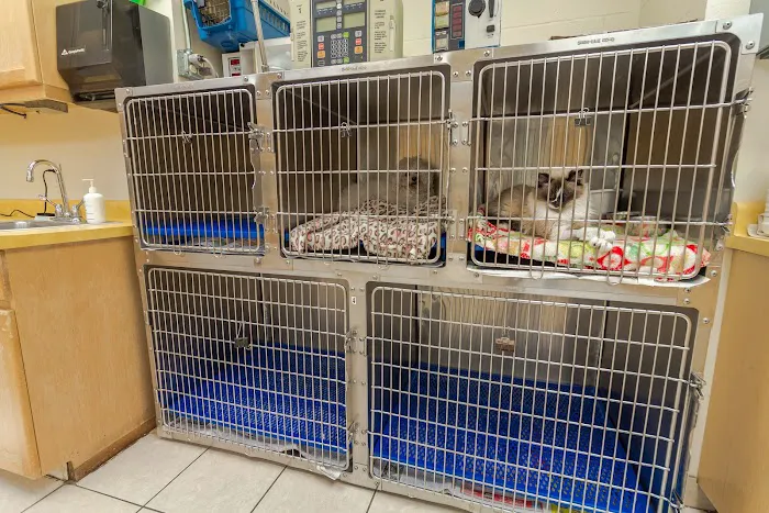 Southeast Animal Hospital 5