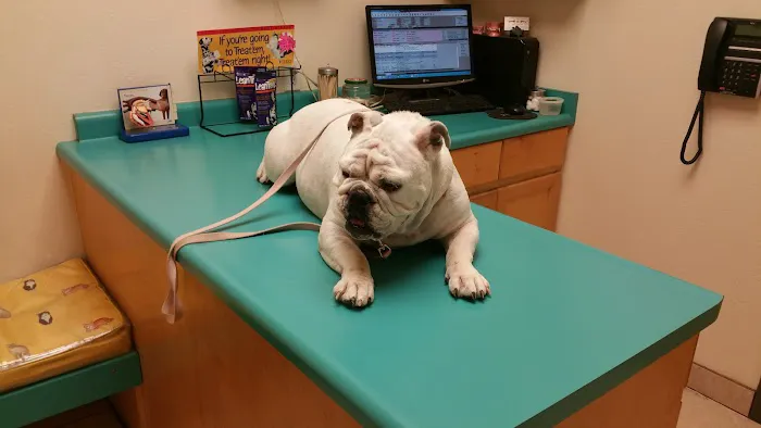 Southeast Animal Hospital 6