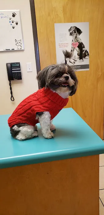 Southeast Animal Hospital 8