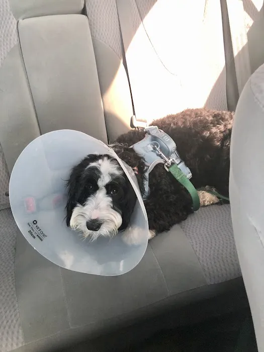 Vetco Total Care Animal Hospital 6