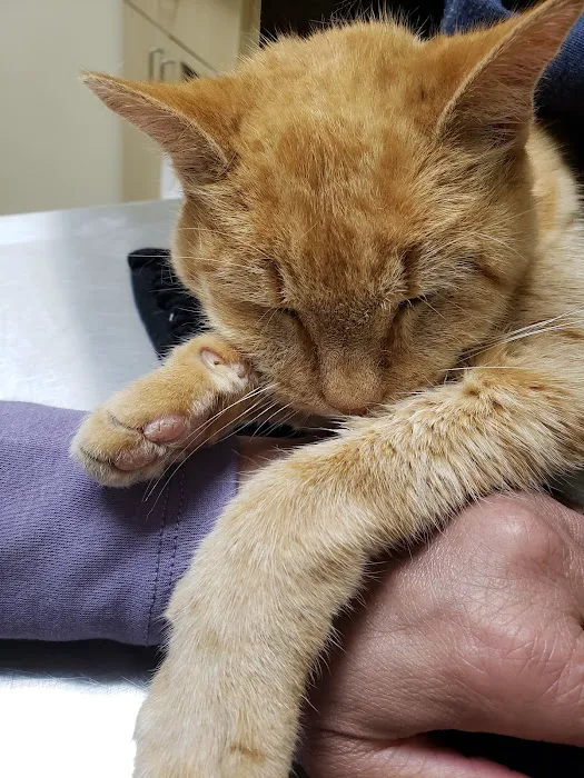 Vetco Total Care Animal Hospital 4