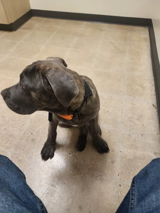 Vetco Total Care Animal Hospital 10