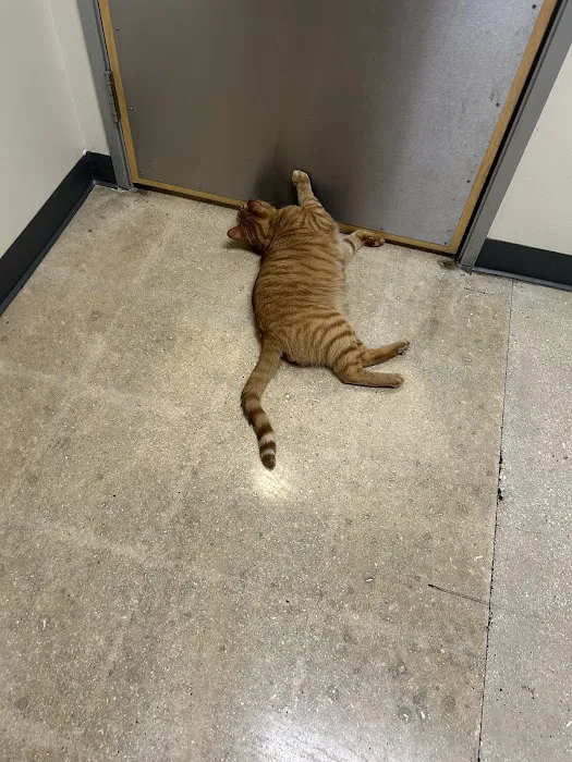 Vetco Total Care Animal Hospital 9