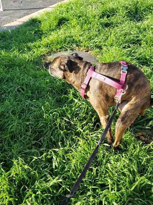 Banfield Pet Hospital 9