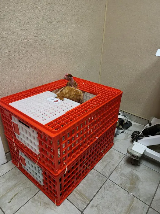 Ten West Bird & Animal Hospital 4