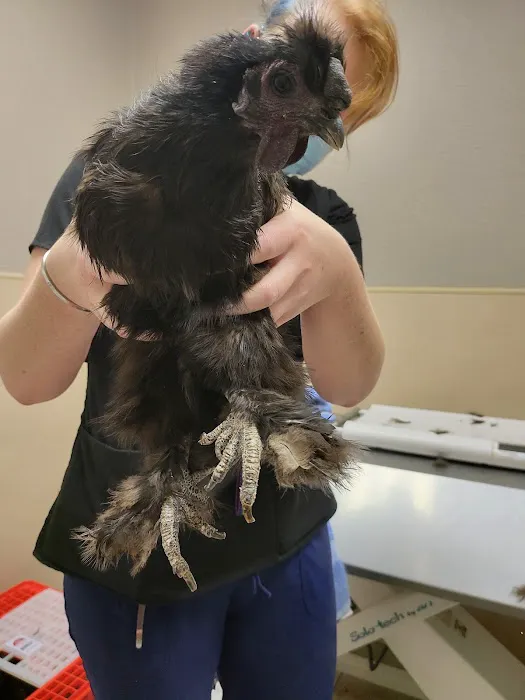 Ten West Bird & Animal Hospital 3