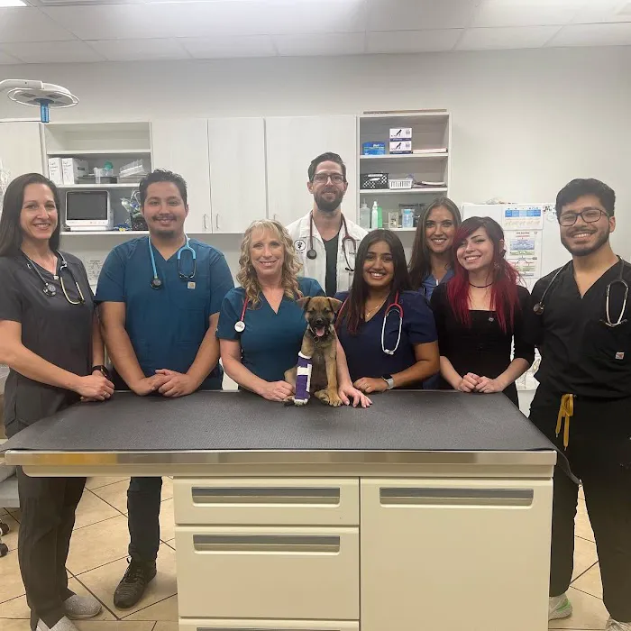 MPC Veterinary Care 3