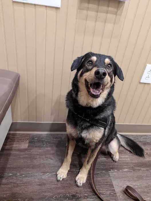 Babcock Hills Veterinary Hospital 5