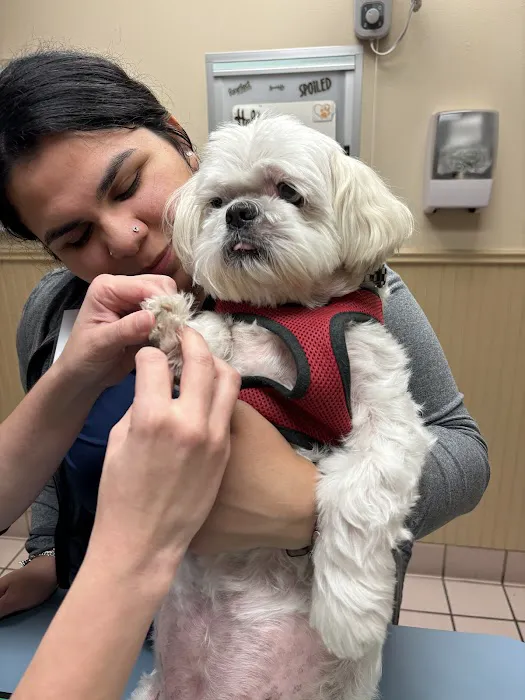 Babcock Hills Veterinary Hospital 7