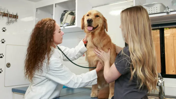 Traveling Tails Veterinary Clinic North Loop 1604 3