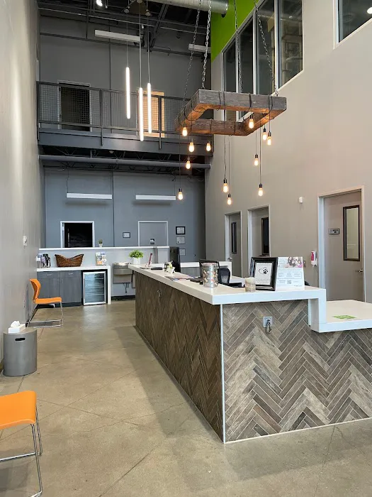 Traveling Tails Veterinary Clinic North Loop 1604 1