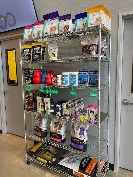 Traveling Tails Veterinary Clinic North Loop 1604 7